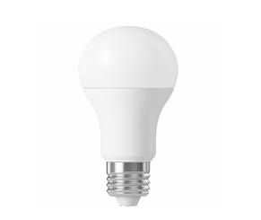 LED BULB